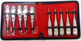 10 Pcs Dental Tooth Surgery Elevators Sets with Pouch Good Quality
